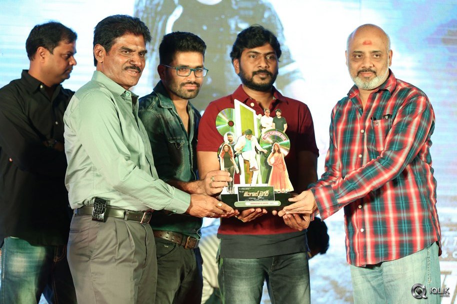 Bengal-Tiger-Movie-Triple-Platinum-Disc-Function